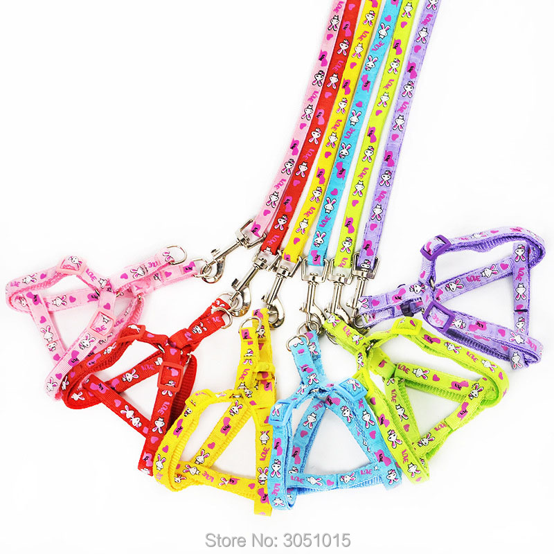 Pet Supplies Wholesale - Venta al por mayor, 20 Uds.,