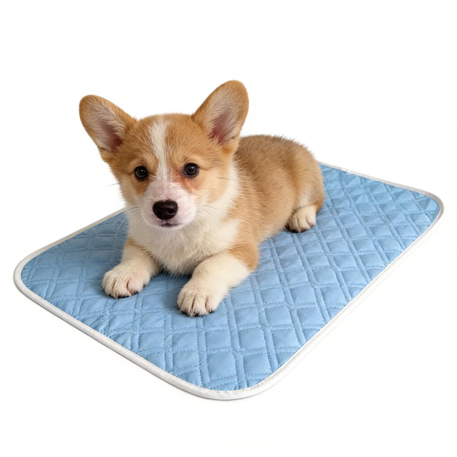 Pet Supplies Self Wash - Alfombra refrescante de verano para mascotas