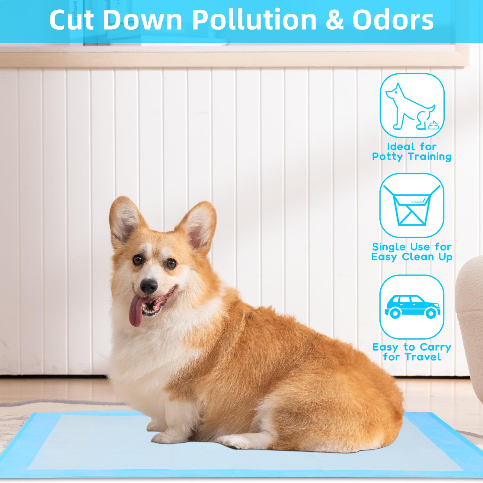 Almohadillas para orinar a pru - Pet Supplies Wholesale reseña y precio