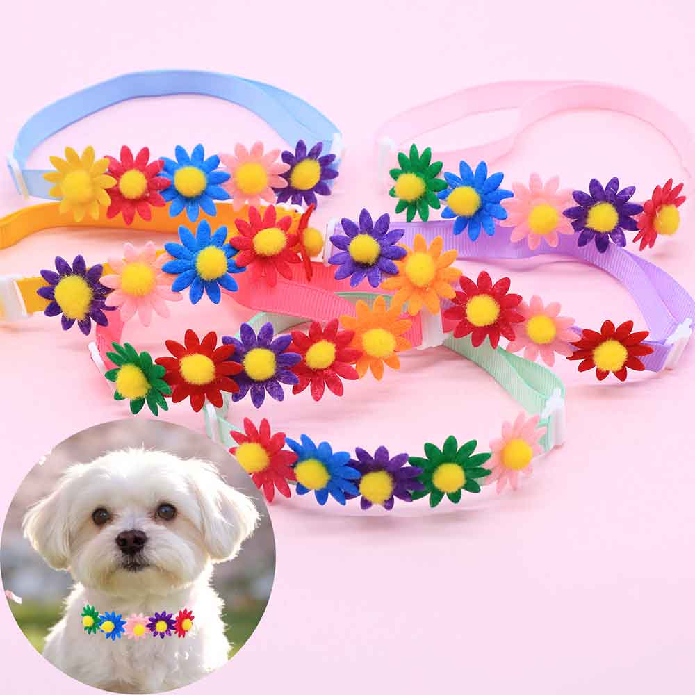 50 Lazos Coloridos para Perros - Pet Supplies Wholesale reseña y precio