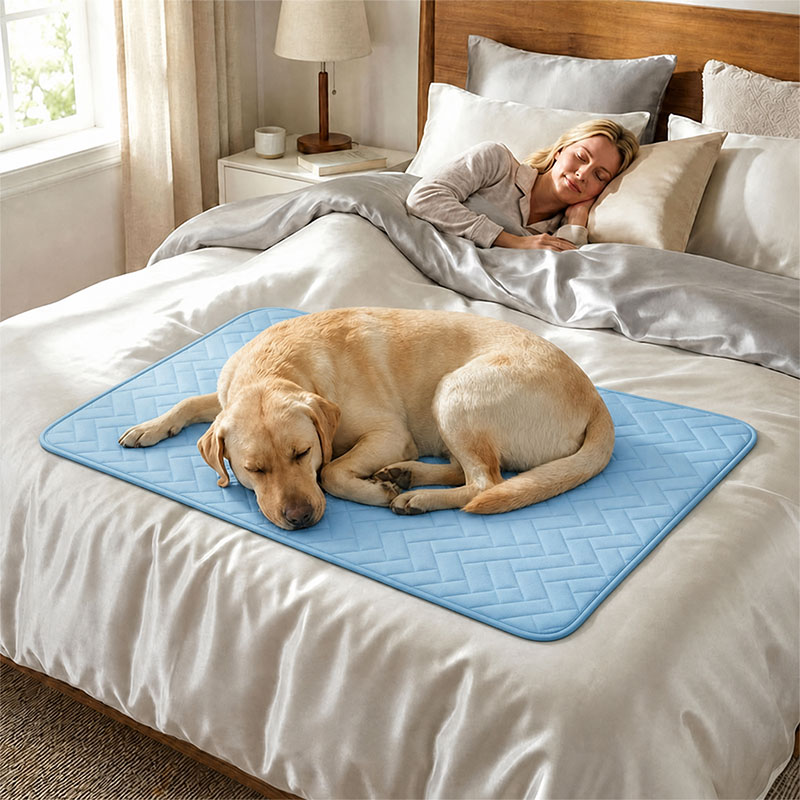 Alfombrilla Refrescante de Ver - Dog Cooling Mat reseña y precio