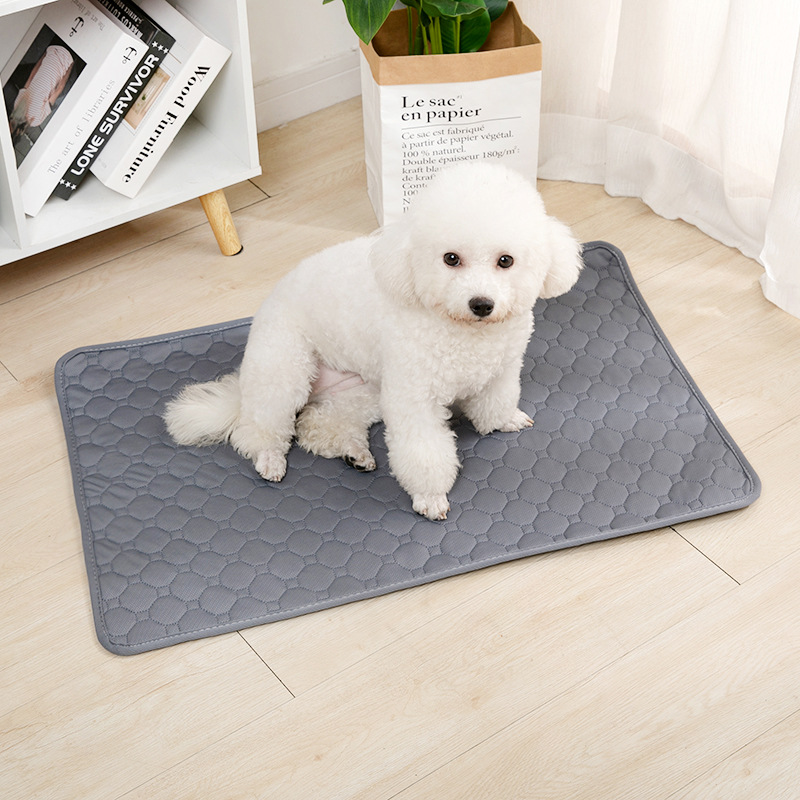 Manta Reutilizable para Orina  - Pet Supplies Wholesale reseña y precio