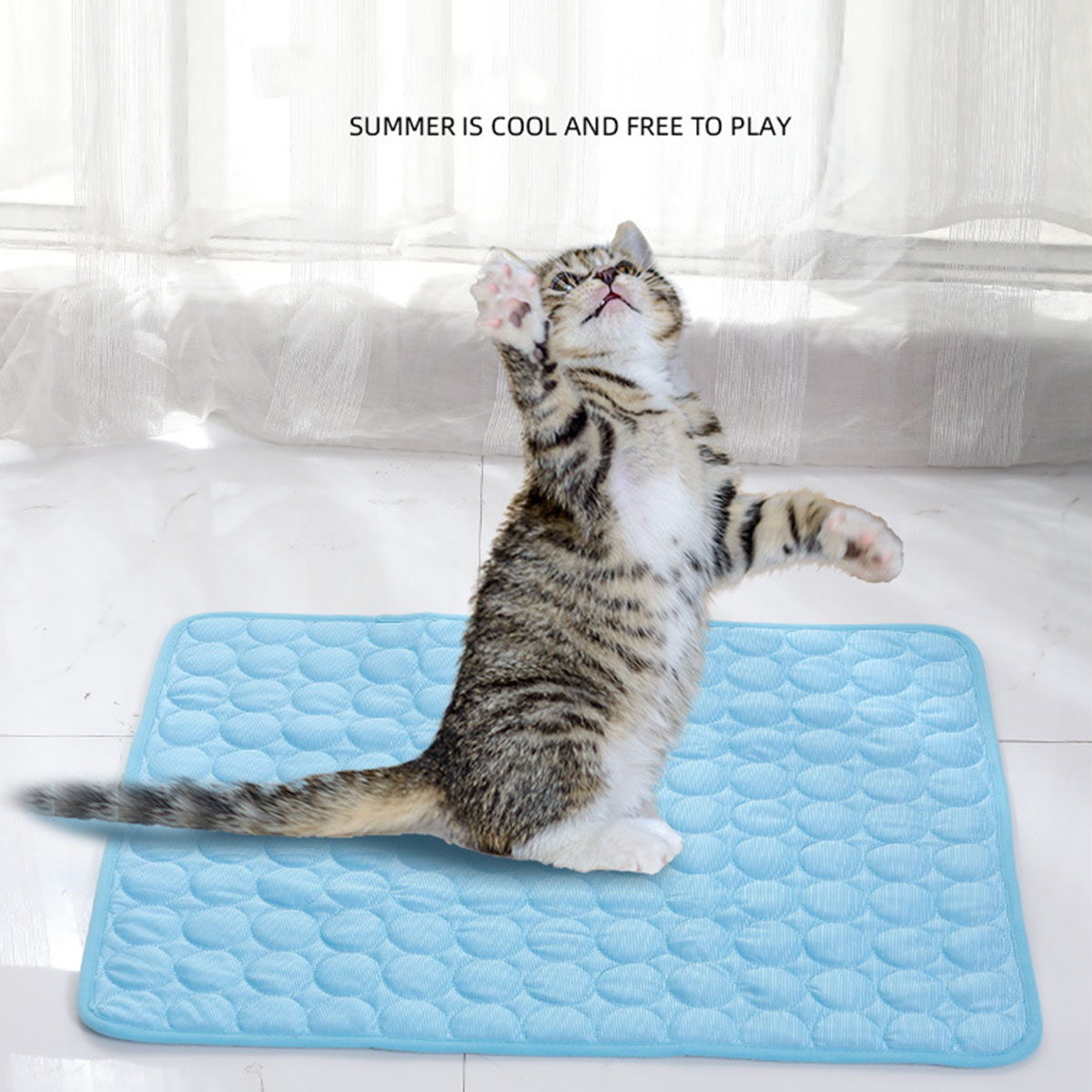 Alfombrillas de hielo para mas - Dog Cooling Mat reseña y precio