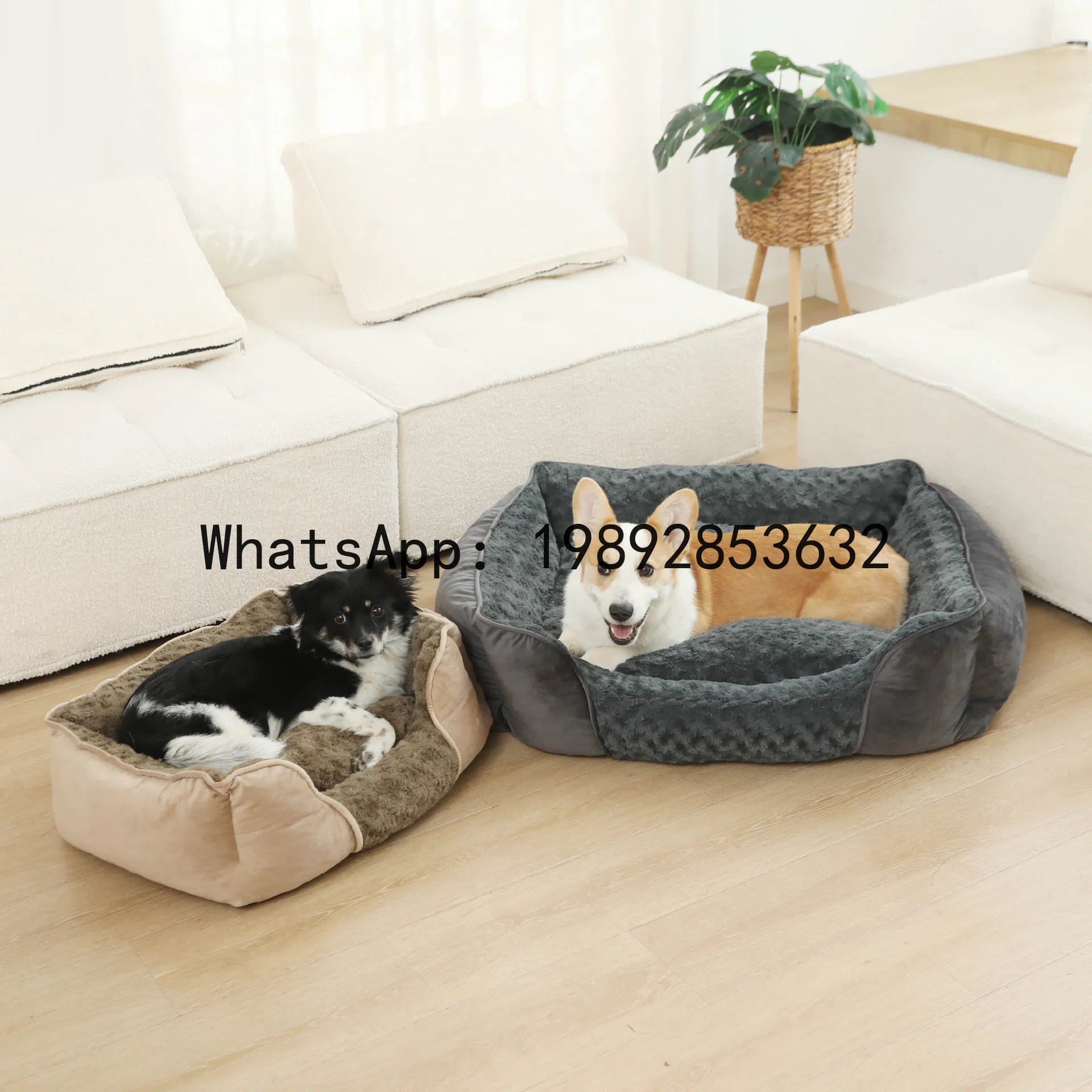 Casa para gatos X, caseta para - Pet X Supplies reseña y precio