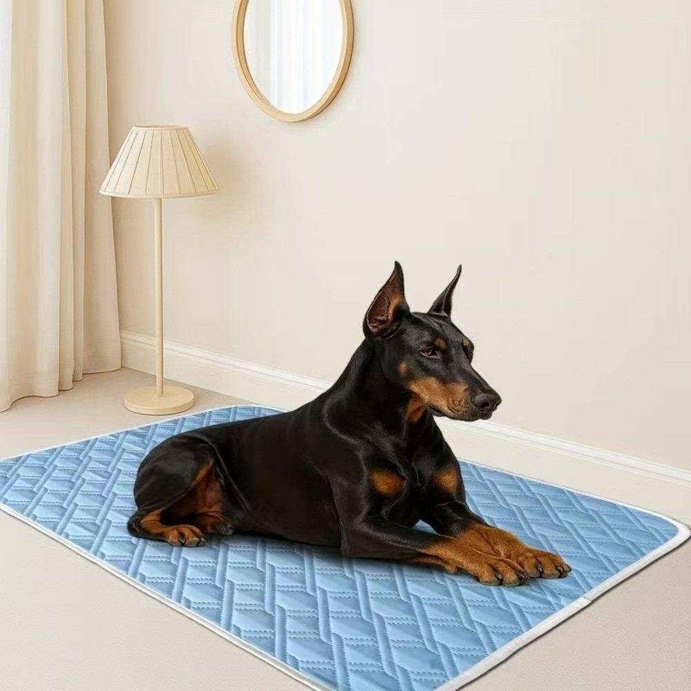 Nueva alfombra refrescante de  - Dog Cooling Mat reseña y precio