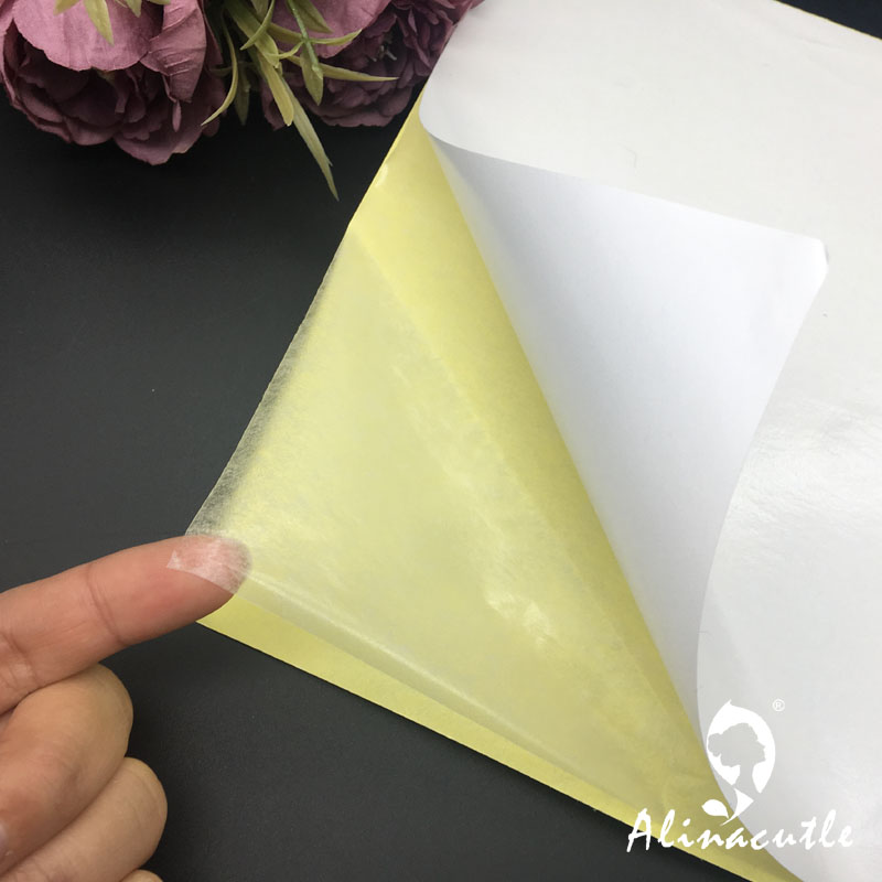 Cinta adhesiva transparente de - Pet X Supplies reseña y precio