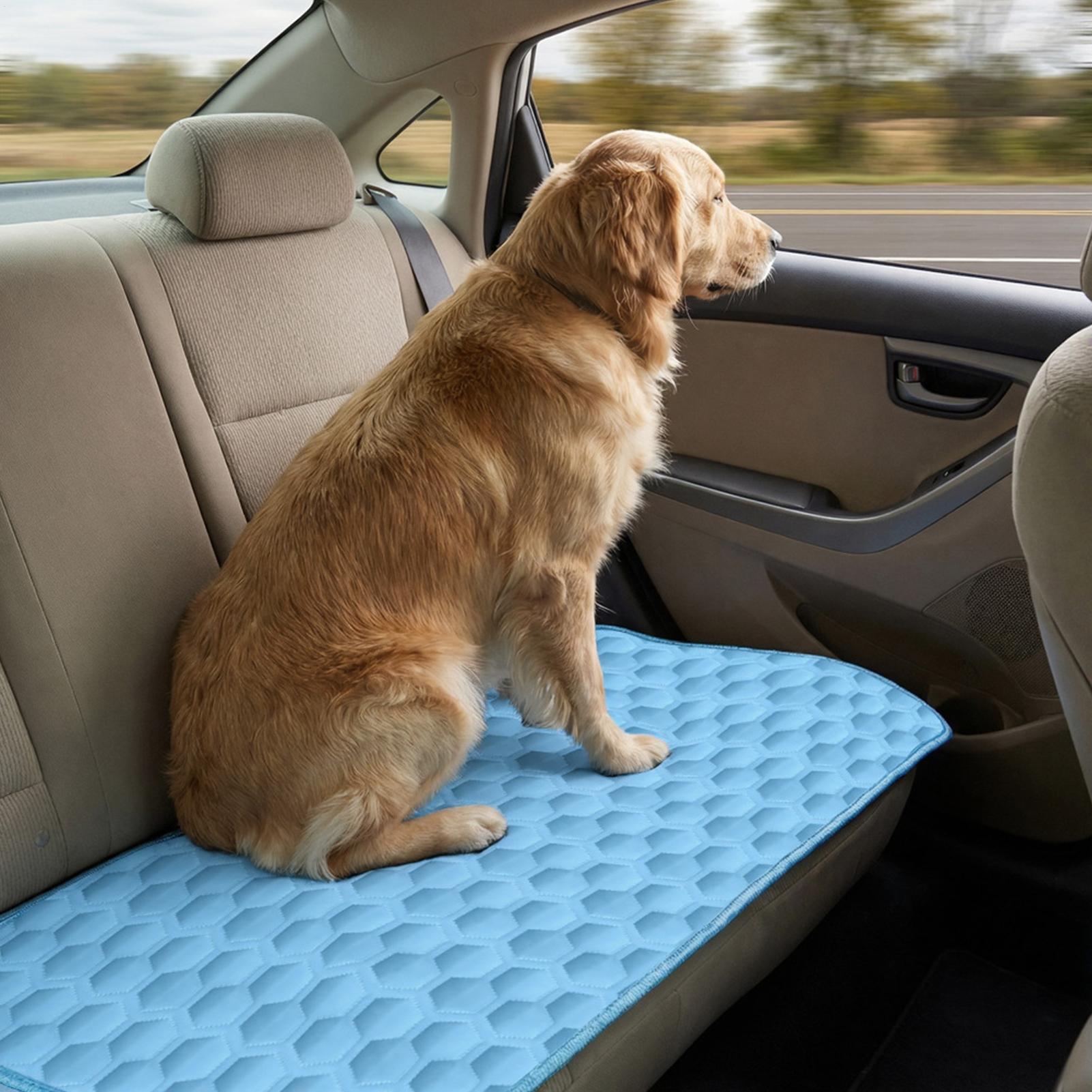 Alfombra refrescante para perr - Dog Cooling Mat reseña y precio
