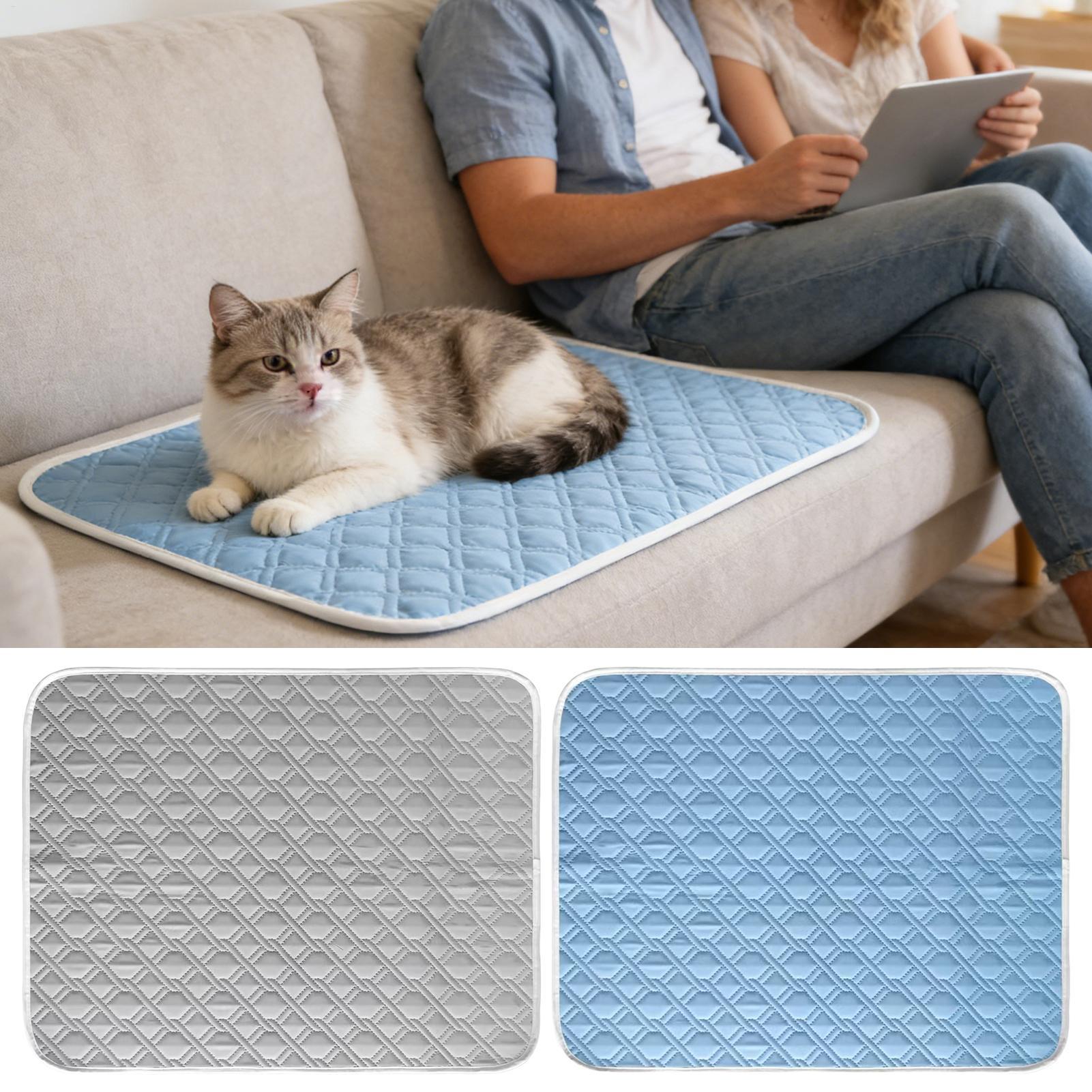 Alfombra refrescante para perr - Dog Cooling Mat reseña y precio
