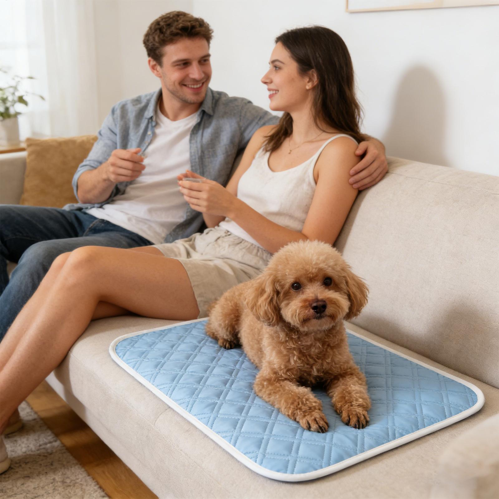 Alfombra refrescante para perr - Dog Cooling Mat reseña y precio