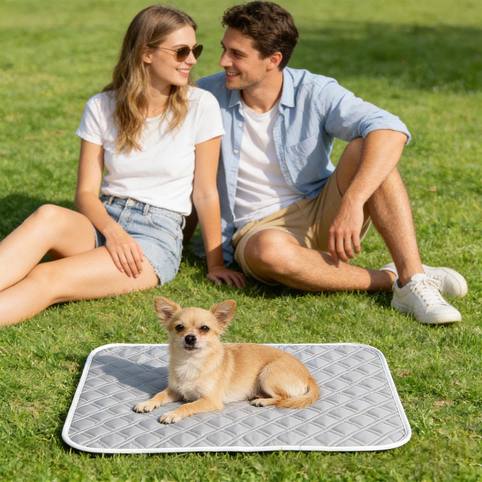 Alfombra refrescante para perr - Dog Cooling Mat reseña y precio