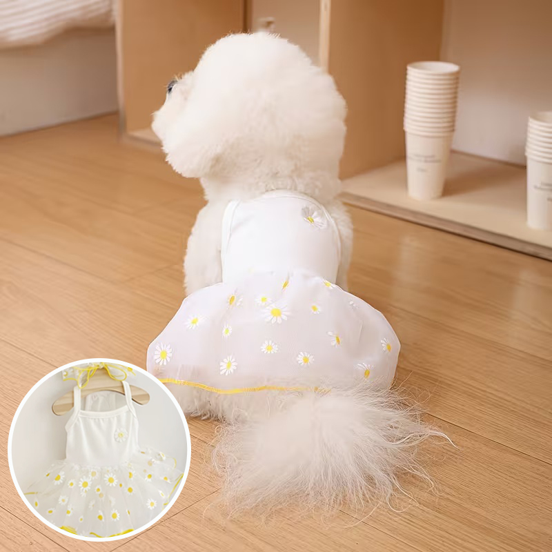 Falda fina de princesa para ca - Pet Supplies York reseña y precio