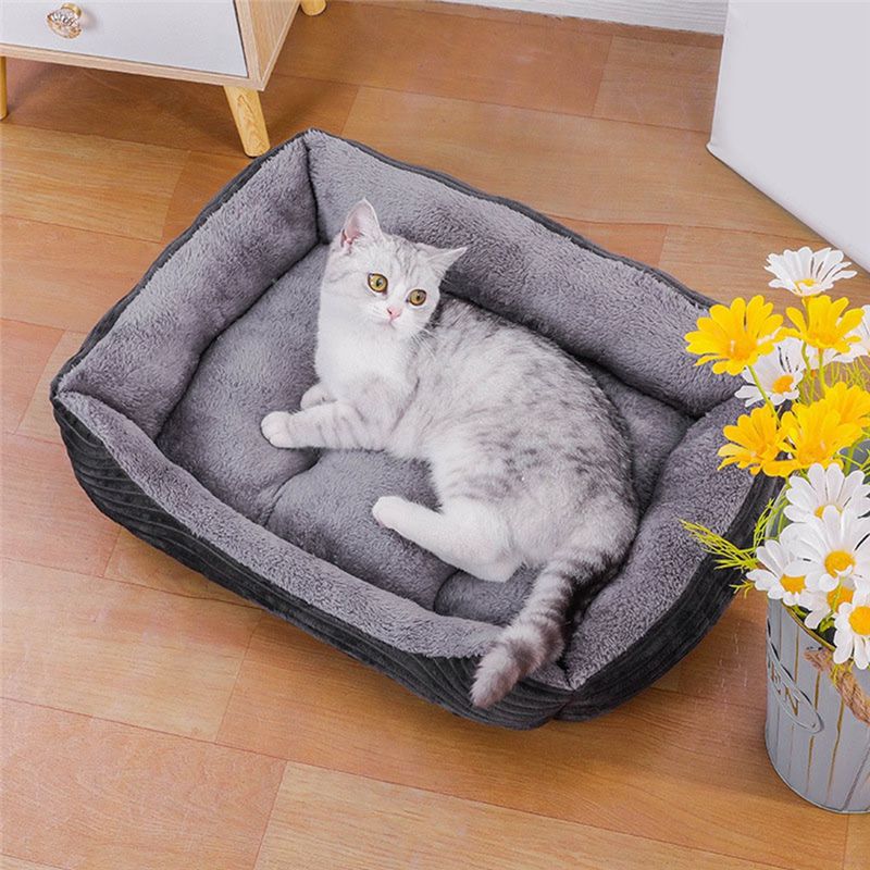 Cama para Perro AEA9-Gris, Cam - Pet X Supplies reseña y precio